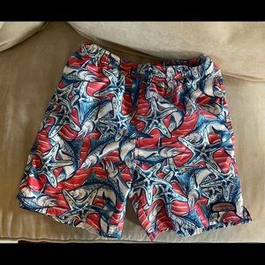 Boys swim trunks